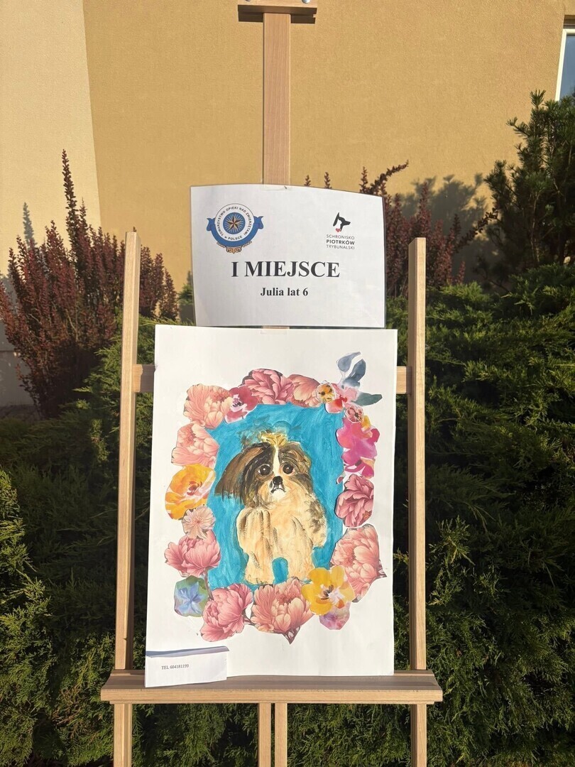 Konkurs Zwierzę mój przyjaciel rozstrzygnięty. Znamy zwycięzców