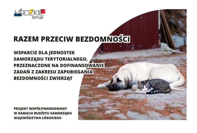 Pomoc dla zwierząt z domów tymczasowych podpisano ważną umowę w Sulejowie