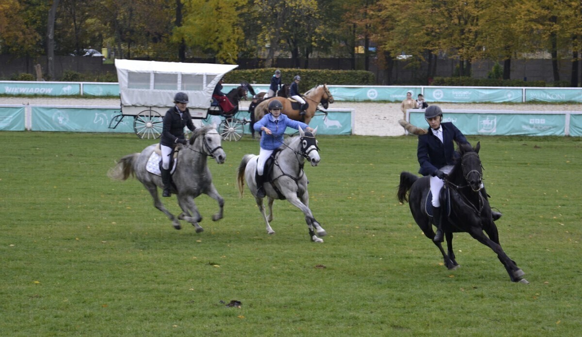 Koncerty biesiady mecze rajdy spektakle. Sprawdź co się będzie działo w weekend w regionie