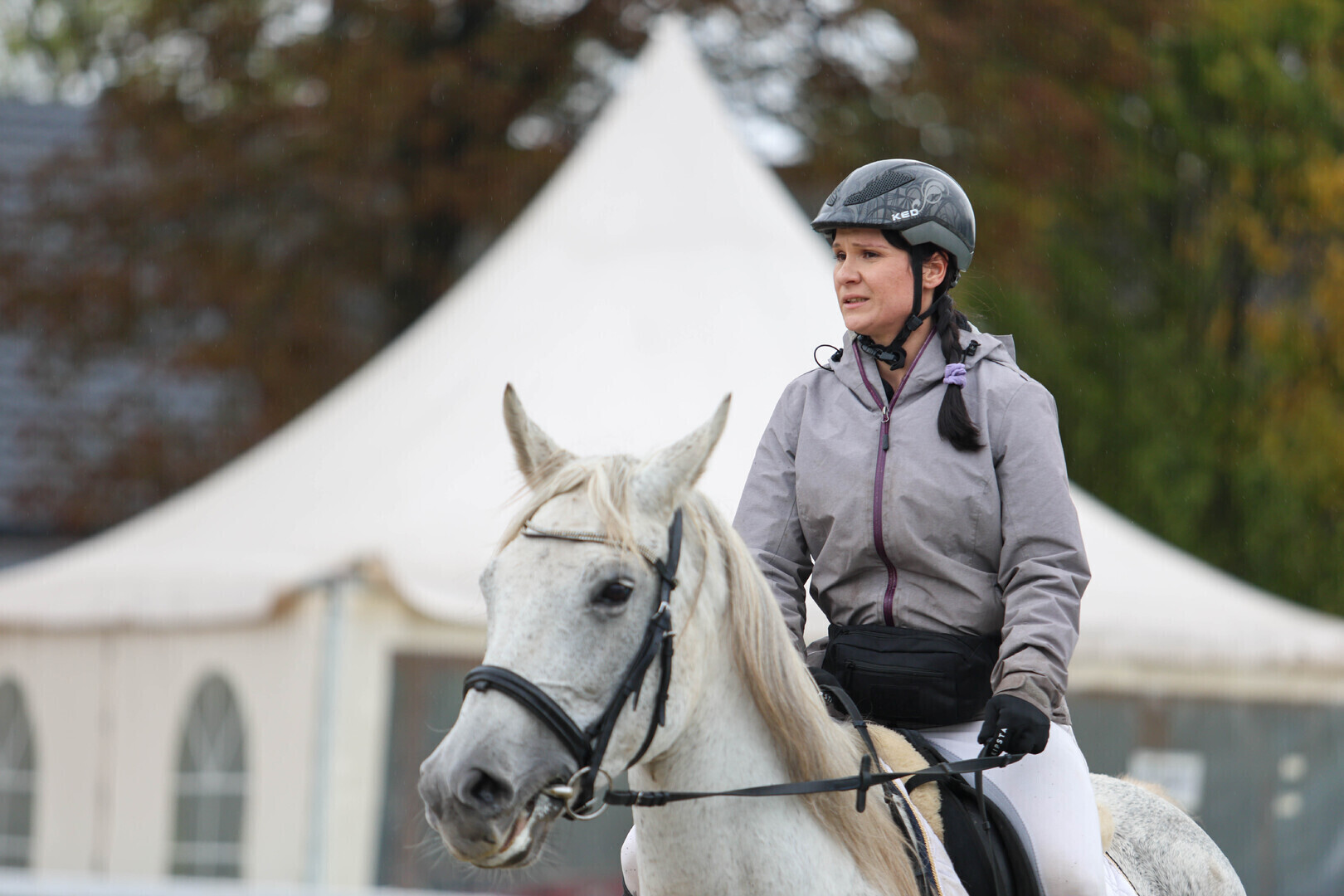 Tłumy na Hubertusie 2025 w Stadzie Ogierów w Bogusławicach. Gonitwa za lisem pokazy i koncert Skolima ZDJĘCIA