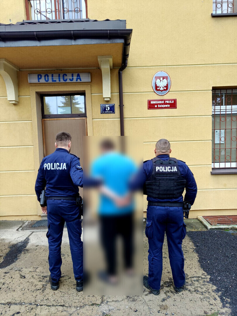 Nadpiliczny wandal zatrzymany przez policję