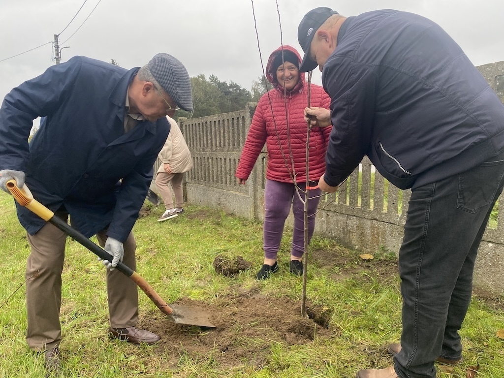 Mieszkańcy sadzą drzewa i krzewy wokół Domu Ludowego dzięki sołeckiemu grantowi