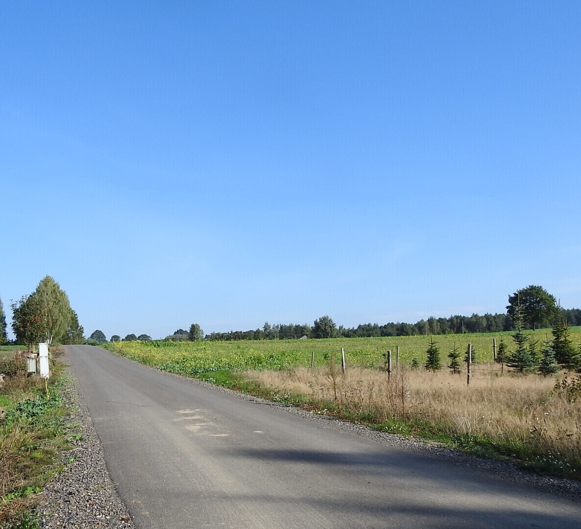 Przebudowa drogi wewnętrznej w Dąbrówce Łączki zakończona
