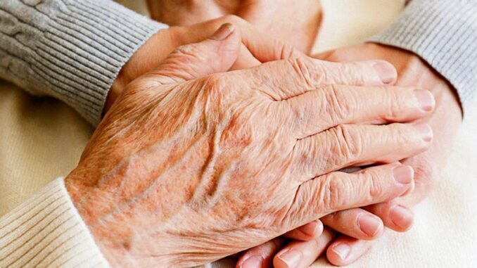 Usługi sąsiedzkie w gminie Wola Krzysztoporska