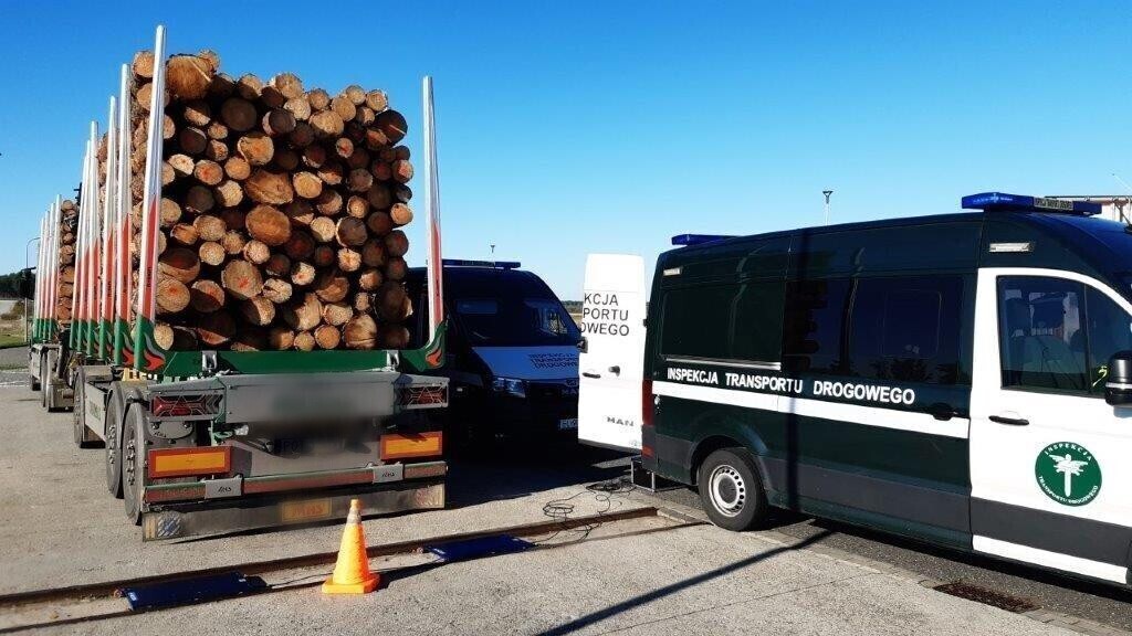 Piotrków Trybunalski Inspektorzy WITD ujawnili przeładowane ciężarówki z drewnem rekordowy zestaw ważył aż 71 ton i przekroczył dopuszczalne normy