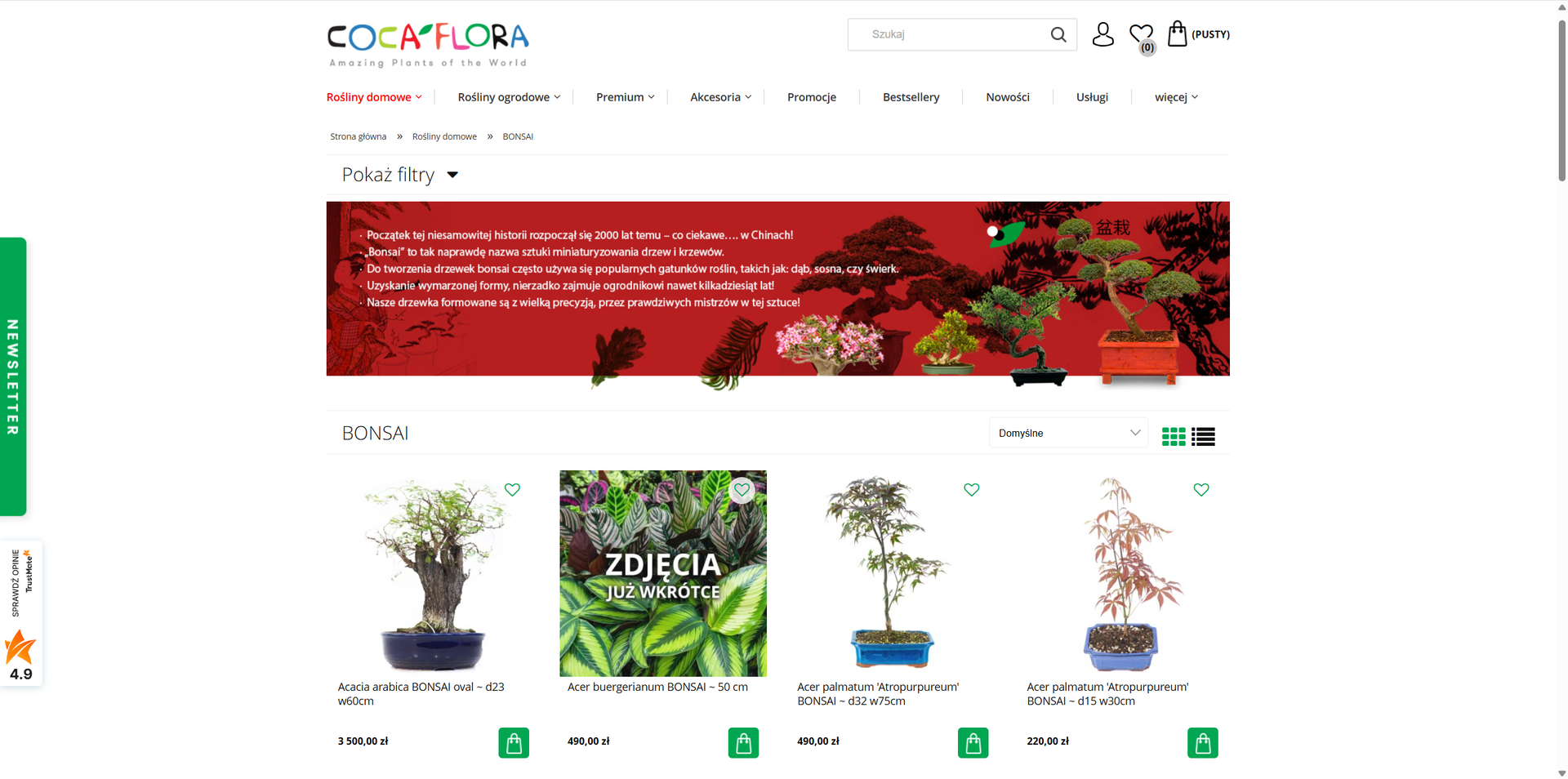 Bonsai w domu - jak rozpocząć swoją przygodę z miniaturowymi drzewkami