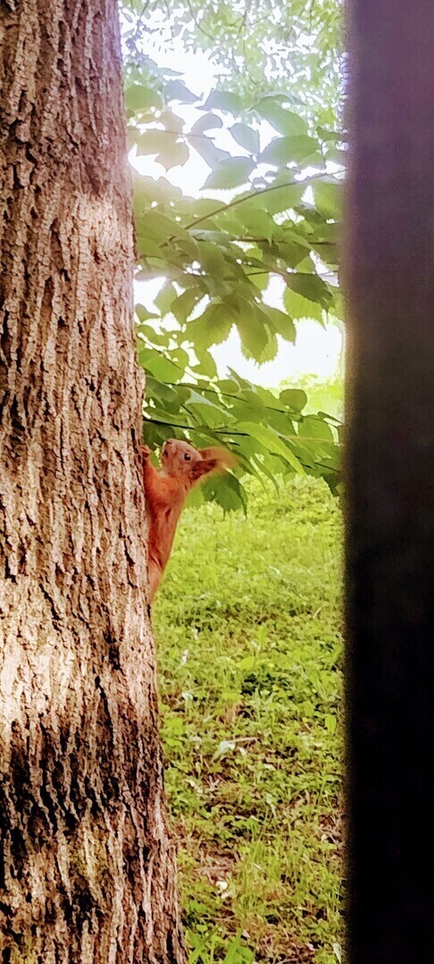 Gmina Moszczenica w obiektywie mieszkańców