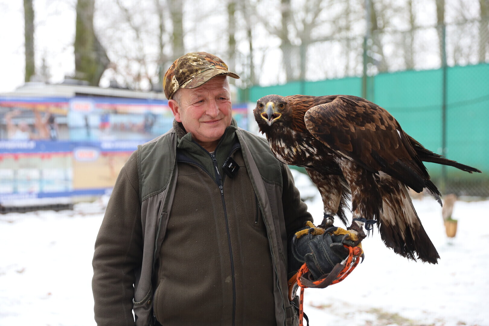Sokolnik ze swoimi orłami kończy pracę w piotrkowskich parkach