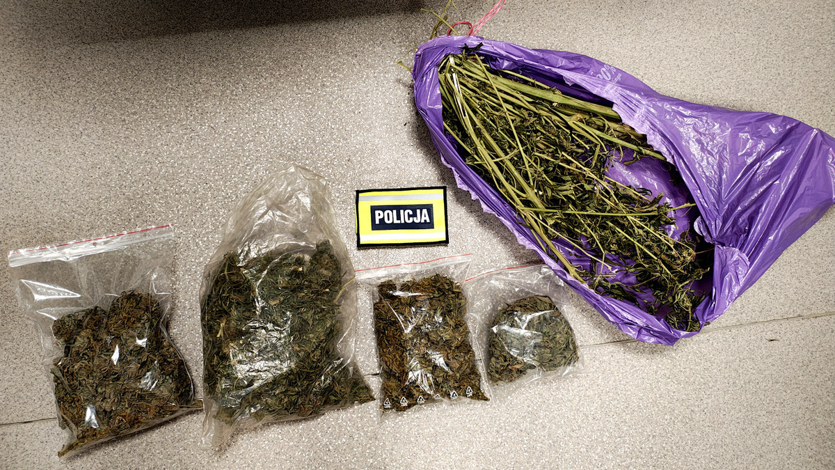 Policja znalazła 770 gramów narkotyków. 25-latkowi grozi do 3 lat za kratami