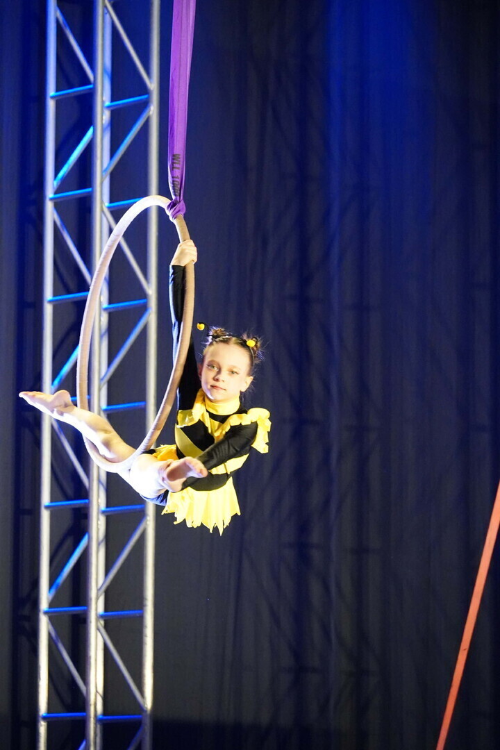 Piotrkowianki z medalami na Pole Aerial World Cup w Bolonii