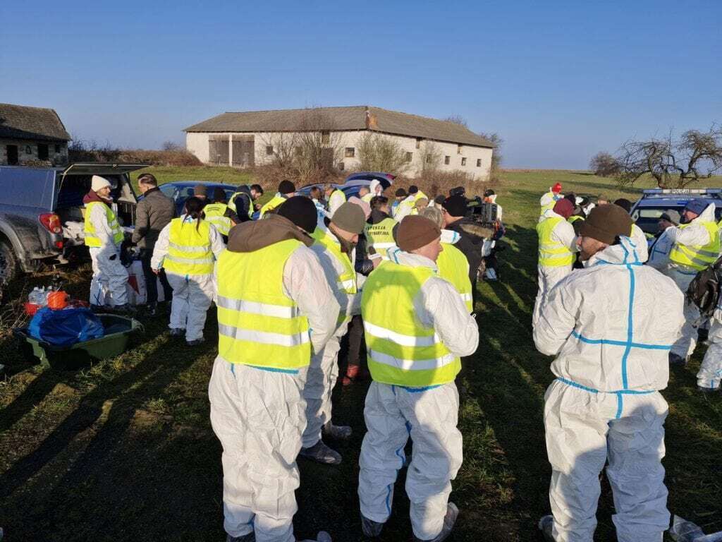 Kolejne truchła dzików w regionie. Zakończył się pierwszy dzień poszukiwań