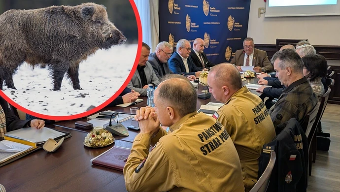 Martwy dzik z ASF w powiecie piotrkowskim. Starostwo podejmuje działania. Co z obszarem objętym ograniczeniami?