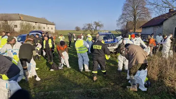 Kolejne truchła dzików w regionie. Zakończył się dzień poszukiwań