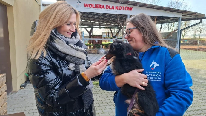 Wsparcie dla bezdomnych zwierząt z Województwa Łódzkiego