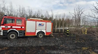 Pożar poszycia leśnego w miejscowości Poraj