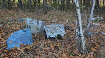 Wielkie sprzątanie Lasu Belzackiego