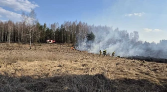 Pożary traw w Piotrkowie i regionie