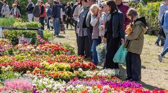 Co się będzie działo w ten weekend w regionie? Sprawdź