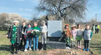 Wiosna w Czarnocinie