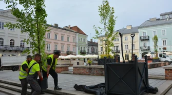 Koniec betonozy? Na Rynku Trybunalskim pojawiły się drzewa