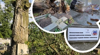 Drzewo znów przewaliło się na nagrobki. Duże zniszczenia na piotrkowskich cmentarzach. Uszkodzone zabytkowe groby