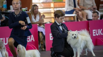 Wyniki Międzynarodowej i V Krajowej Wystawy Psów Rasowych w Moszczenicy. Prezentowano prawdziwe psie piękności!