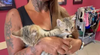 Pomógł kotom, pomogli i jemu. Podobno karma wraca