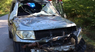 Zderzenie osobówki z jeleniem między Kołem a Lubiaszowem