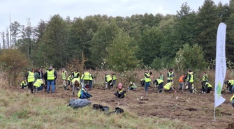 500 drzew posadzono w Piotrkowie Trybunalskim w ramach programu „Novy Las”
