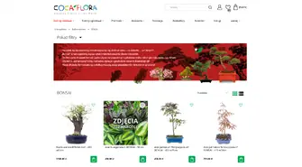 Bonsai w domu - jak rozpocząć swoją przygodę z miniaturowymi drzewkami?