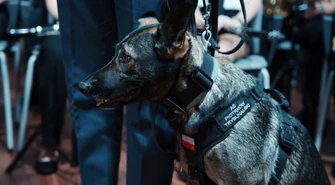 Bohaterowie naszej codzienności. Oto najlepsi funkcjonariusze w Łódzkiem