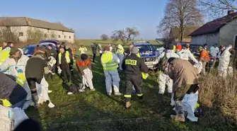 Kolejne truchła dzików w regionie. Zakończył się pierwszy dzień poszukiwań