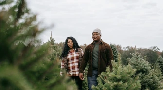 Wybór choinki w doniczce – co jest ważne podczas zakupów?