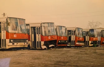 Ikarusy 280 - archiwum Tygodnia Trybunalskiego