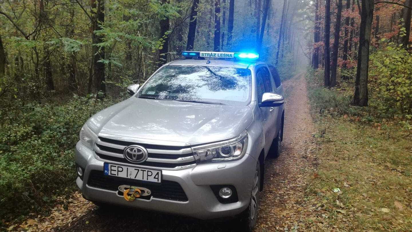 Akcja leśników w powiecie piotrkowskim zapory zapachowe i drony w walce z ASF