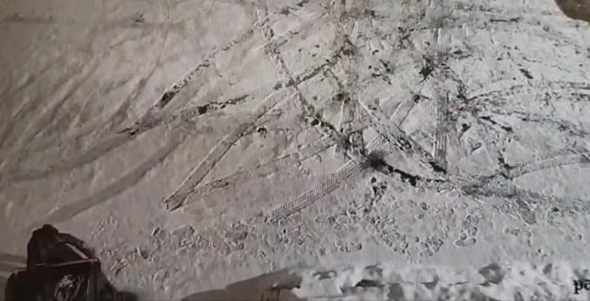 Wyrzucił do kontenera pięć kociąt