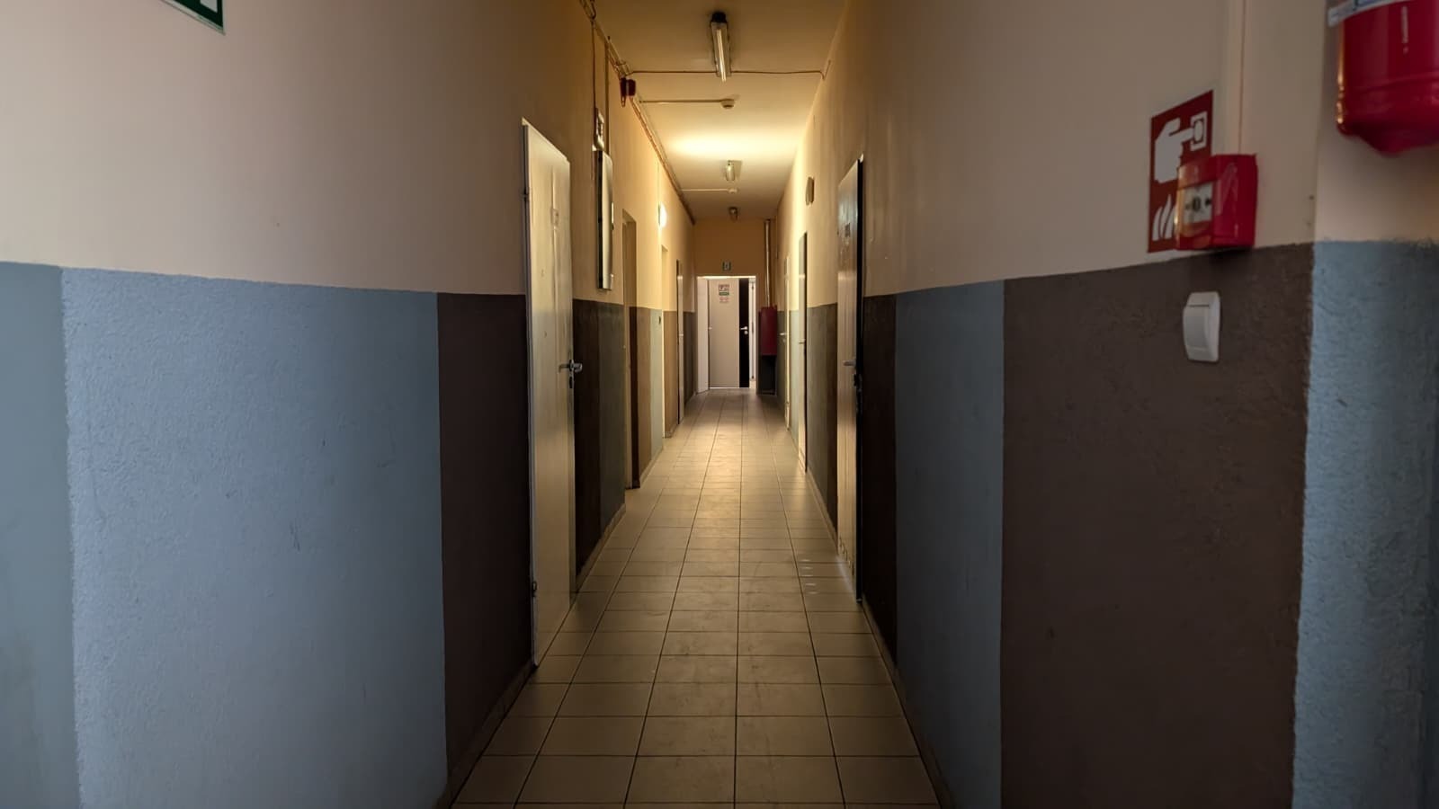 Dwie raty kredytu od bezdomności. Z wizytą w schronisku na Wroniej