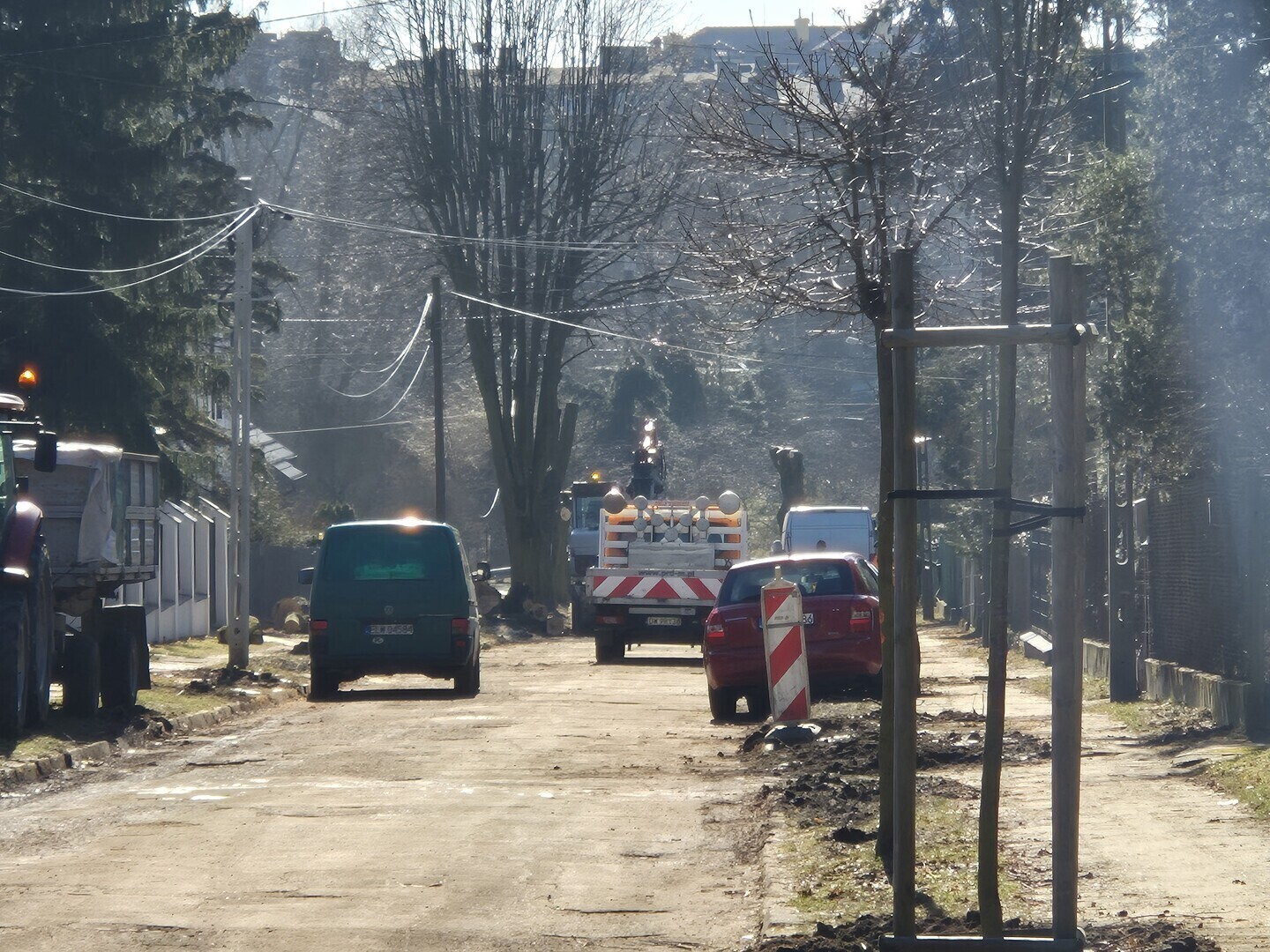 Czy wszystkie stuletnie lipy znikną podczas remontu Wycinka drzew na ul. Kwiatowej.