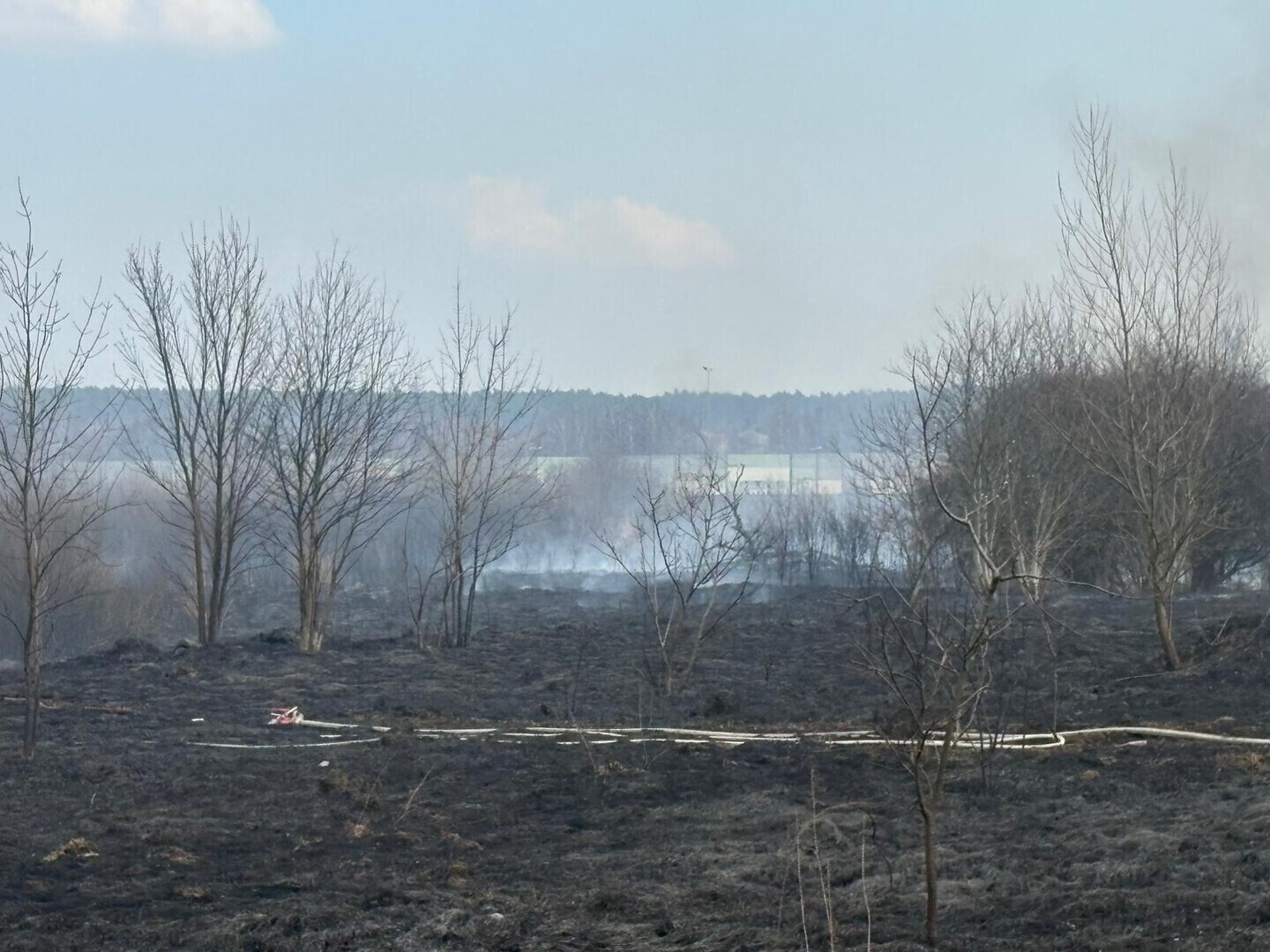 Ogromny pożar. Płoną łąki w mieście. Cztery zastępy strażackie próbują opanować żywioł.
