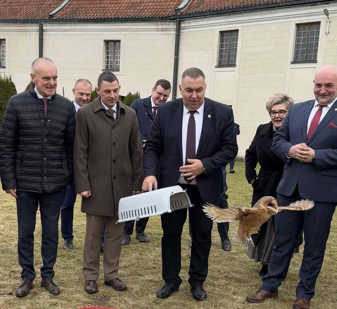 Płomykówki wróciły na wolność. Wyjątkowe wypuszczenie sów w Sulejowie