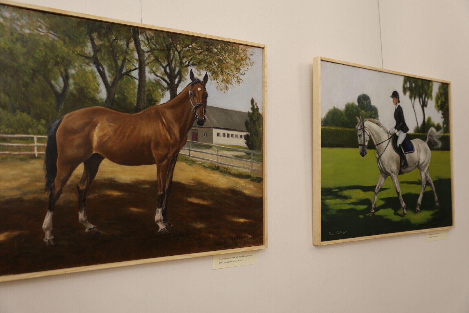 ANIMALS - nasi bracia mniejsi. Artyści pokazują świat zwierząt