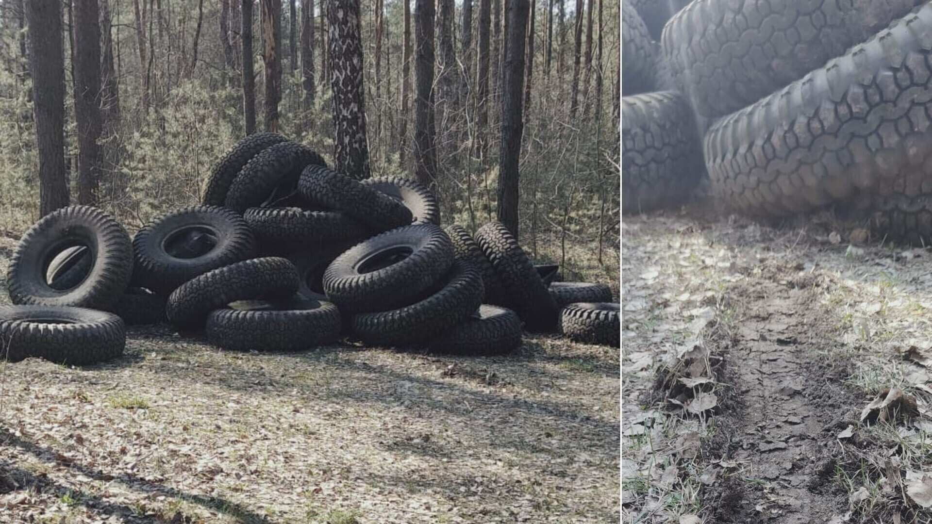 Kilkadziesiąt opon porzuconych w lesie. Sprawą zajmuje się policja i nadleśnictwo