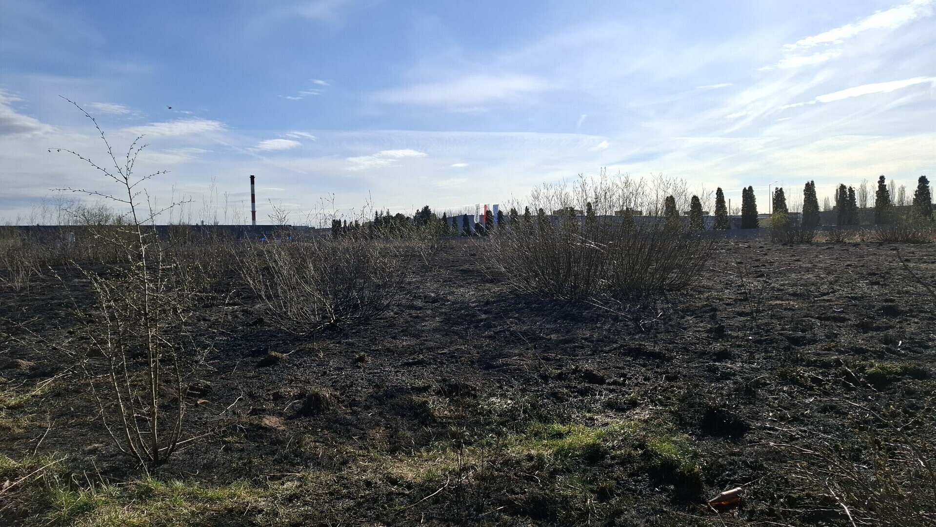 Pożar nieużytków przy Dmowskiego. Ogień objął dwa hektary terenu. To zaprószenie ognia albo celowe podpalenie
