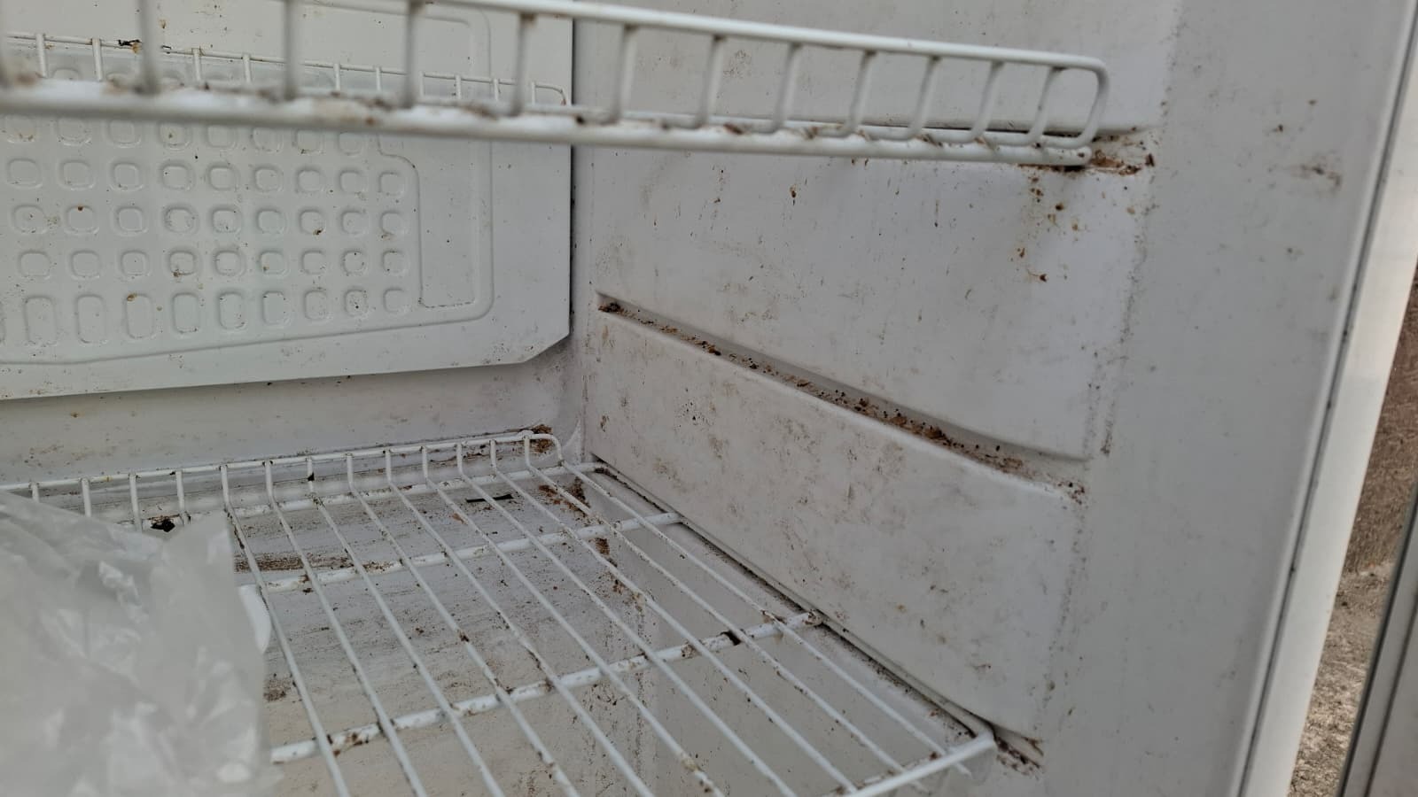 Gdy wspólna odpowiedzialność się rozmywa kulisy działania lodówki społecznej w Piotrkowie