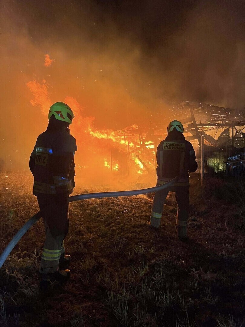 Pożar stajni w Kotuszowie. Zginęły dwa konie