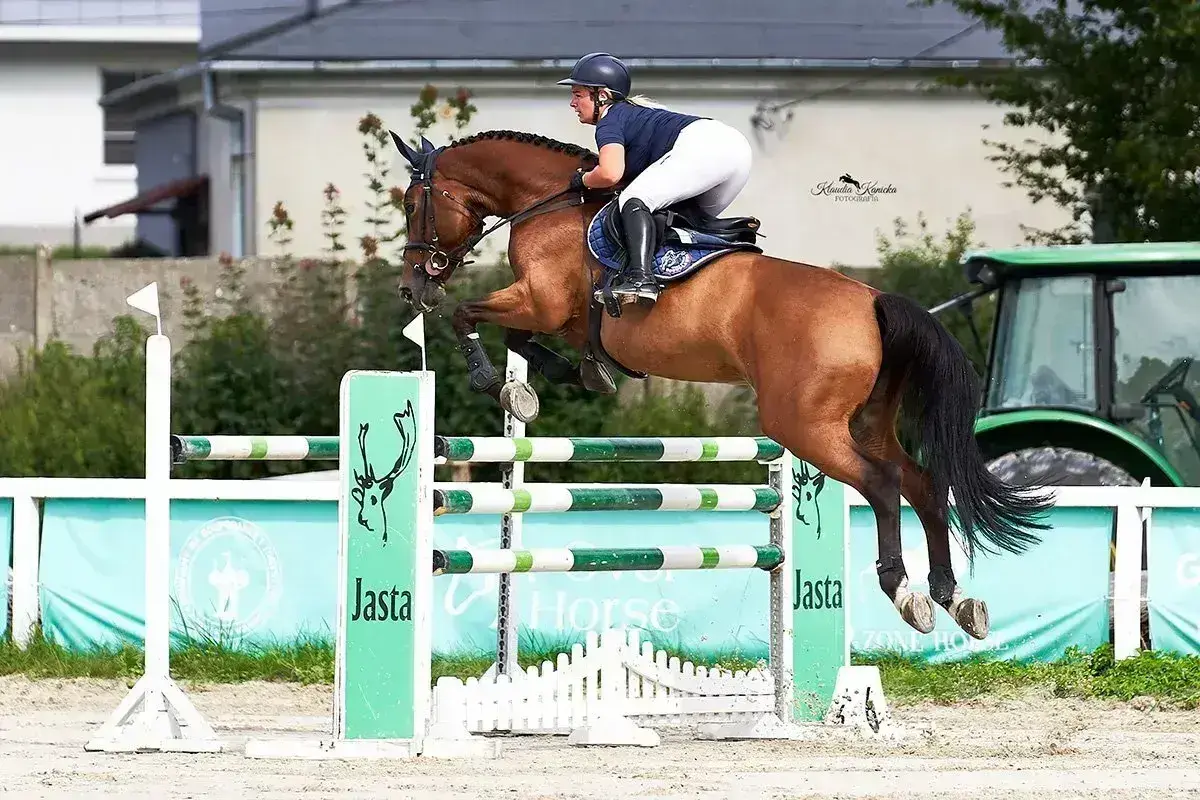 Międzynarodowe Zawody w Skokach przez Przeszkody w Bogusławicach