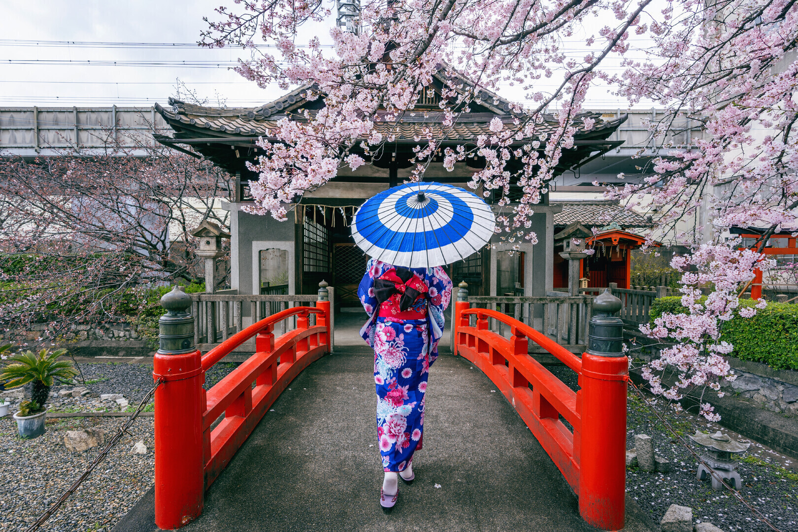 Piotrków w rytmie Japonii festiwal pełen sztuki i tradycji zawita do miasta