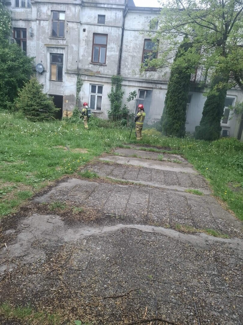 Pożar w dwupiętrowej kamienicy przy Al. 3 Maja 6 w Piotrkowie. W akcji strażacy i drabina mechaniczna