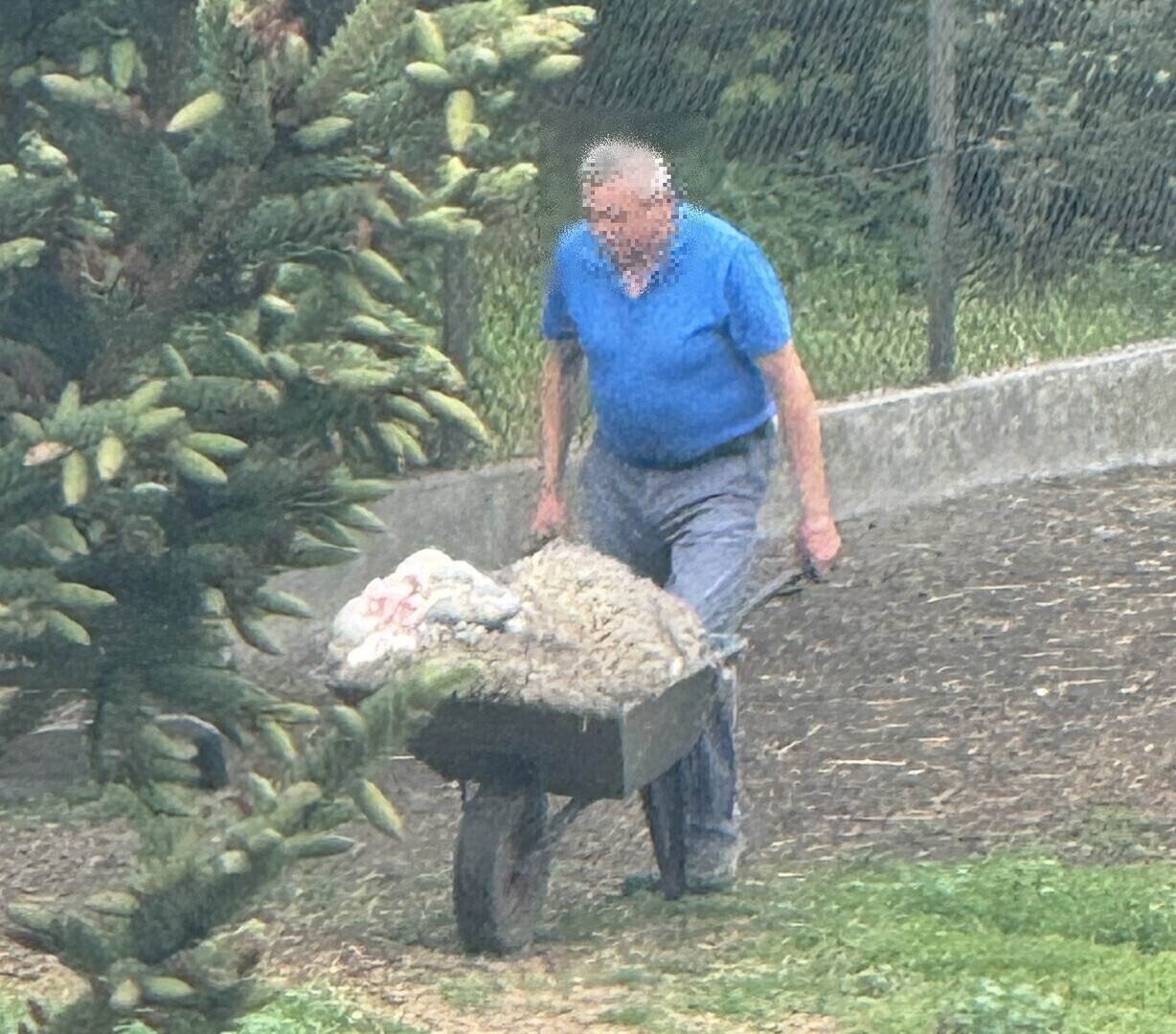 Szczątki rytualnie zabijanych zwierząt zostały zakopane na działce w Piotrkowie