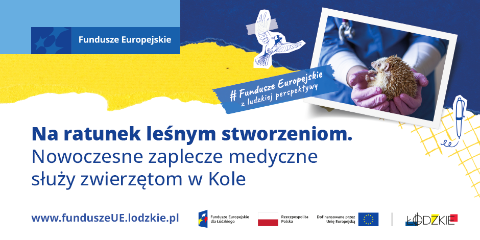 Na ratunek leśnym stworzeniom. Nowoczesne zaplecze medyczne służy zwierzętom w Kole